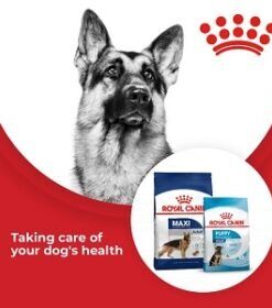 Royal Canin Dog Food