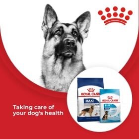 Royal Canin Dog Food